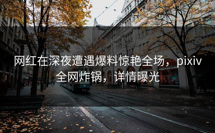 网红在深夜遭遇爆料惊艳全场，pixiv全网炸锅，详情曝光