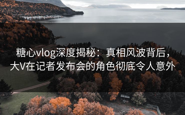 糖心vlog深度揭秘：真相风波背后，大V在记者发布会的角色彻底令人意外