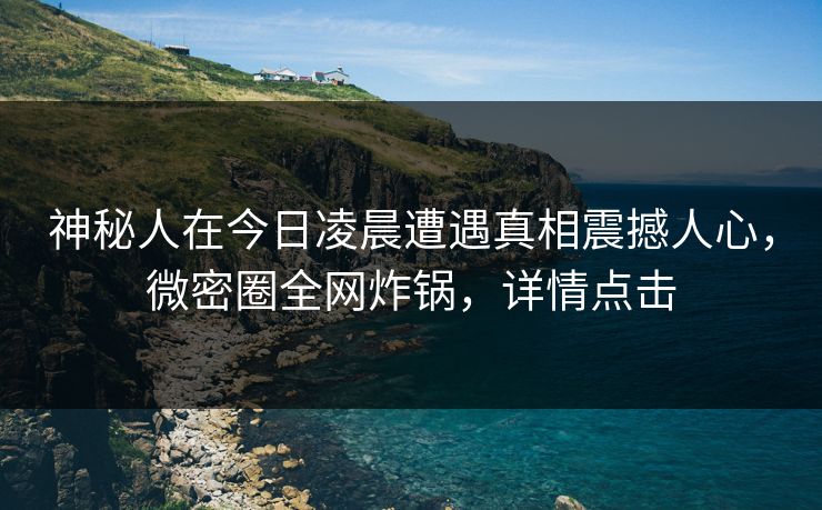 神秘人在今日凌晨遭遇真相震撼人心，微密圈全网炸锅，详情点击