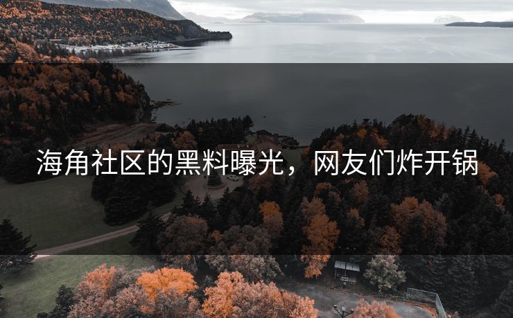 海角社区的黑料曝光，网友们炸开锅