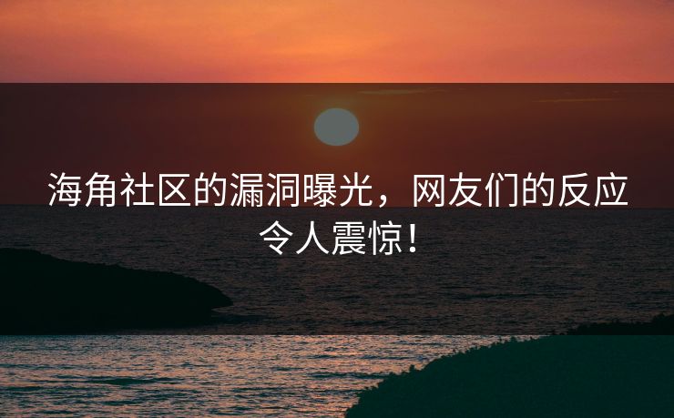 海角社区的漏洞曝光，网友们的反应令人震惊！