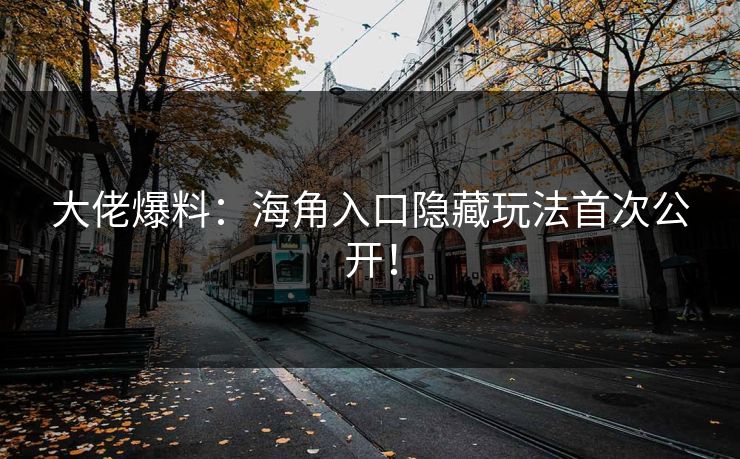 大佬爆料：海角入口隐藏玩法首次公开！