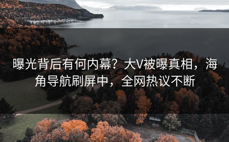 曝光背后有何内幕？大V被曝真相，海角导航刷屏中，全网热议不断