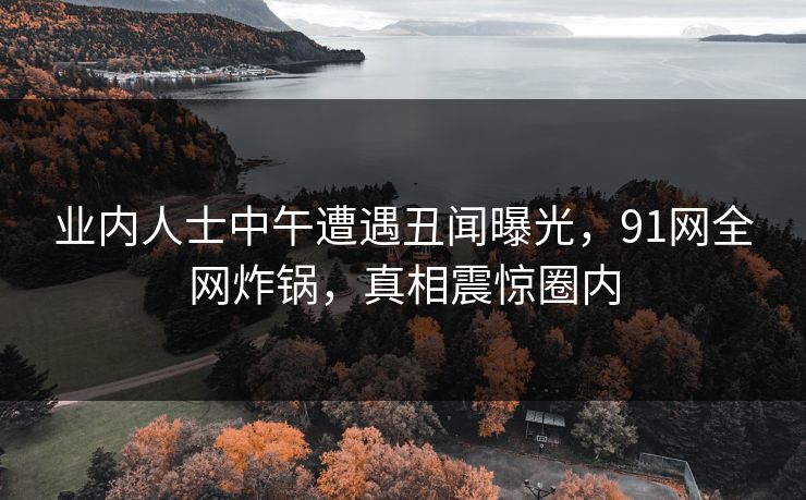 业内人士中午遭遇丑闻曝光，91网全网炸锅，真相震惊圈内