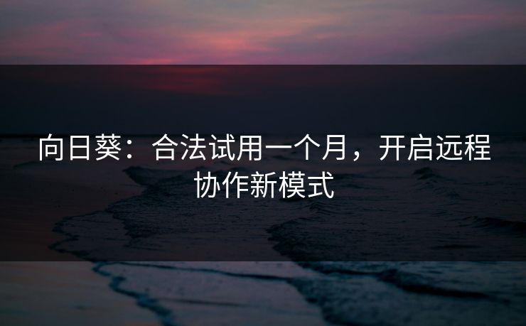 向日葵：合法试用一个月，开启远程协作新模式