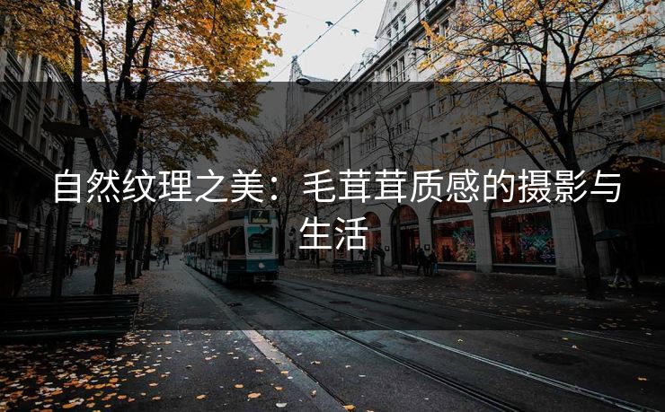 自然纹理之美：毛茸茸质感的摄影与生活